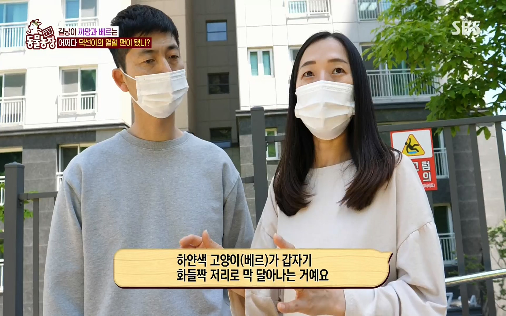 TV 동물농장.E1073.220612p.H264-F1RST.mp4_20220612_181345.462.jpg