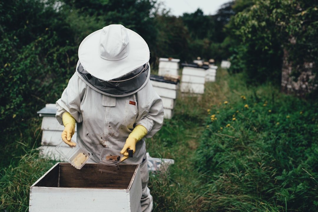Hives