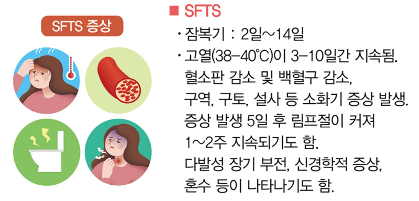 중증-열성-혈소판감소-증후군-SFTS-증상