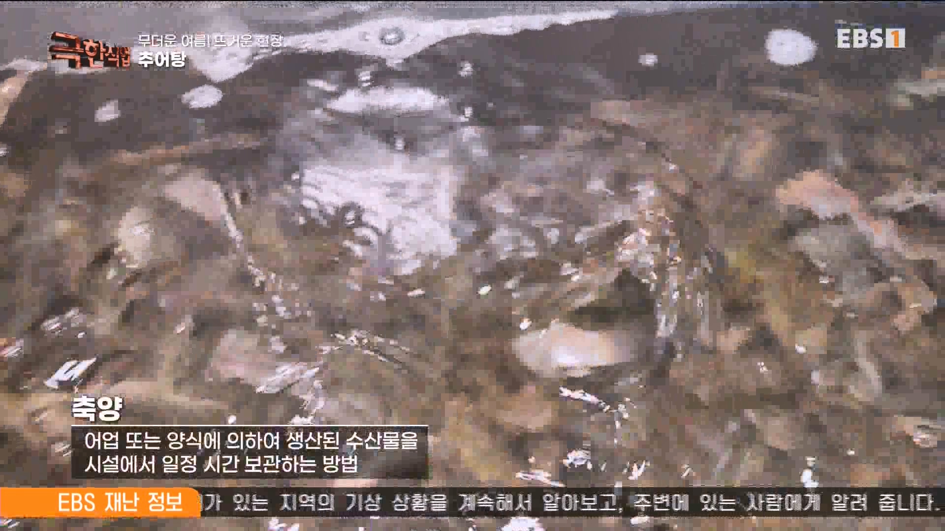 [극한 직업] 가자미잡이와 추어탕 230819.mp4_20230823_202904.521.jpg