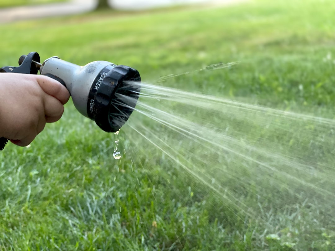 'Watering'