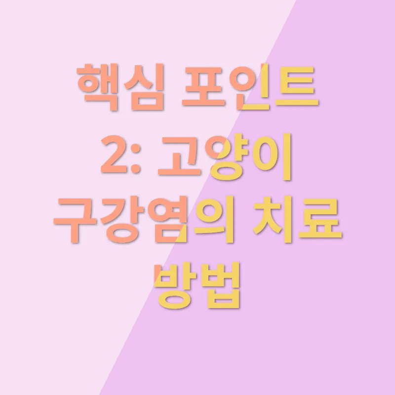 고양이 구강염 치료_2
