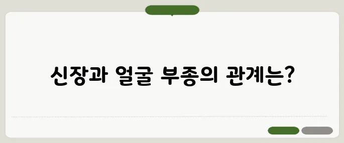 얼굴이 붓는 이유 신장 건강과 관련 있을까?