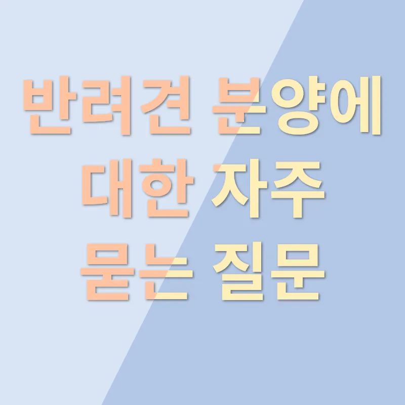 반려견 분양_4