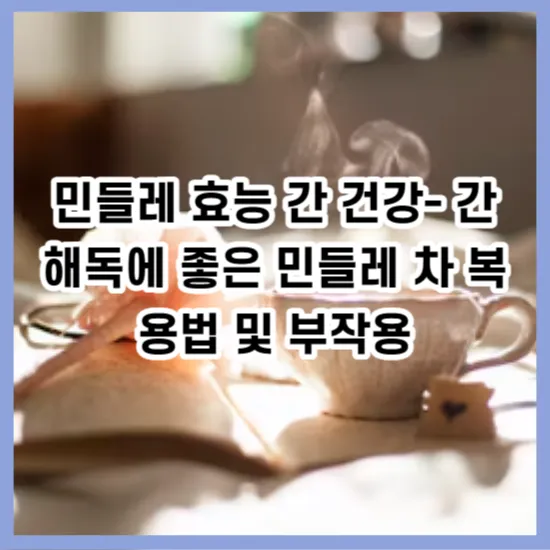 민들레 효능 간 건강- 간 해독에 좋은 민들레 차 복용법 및 부작용