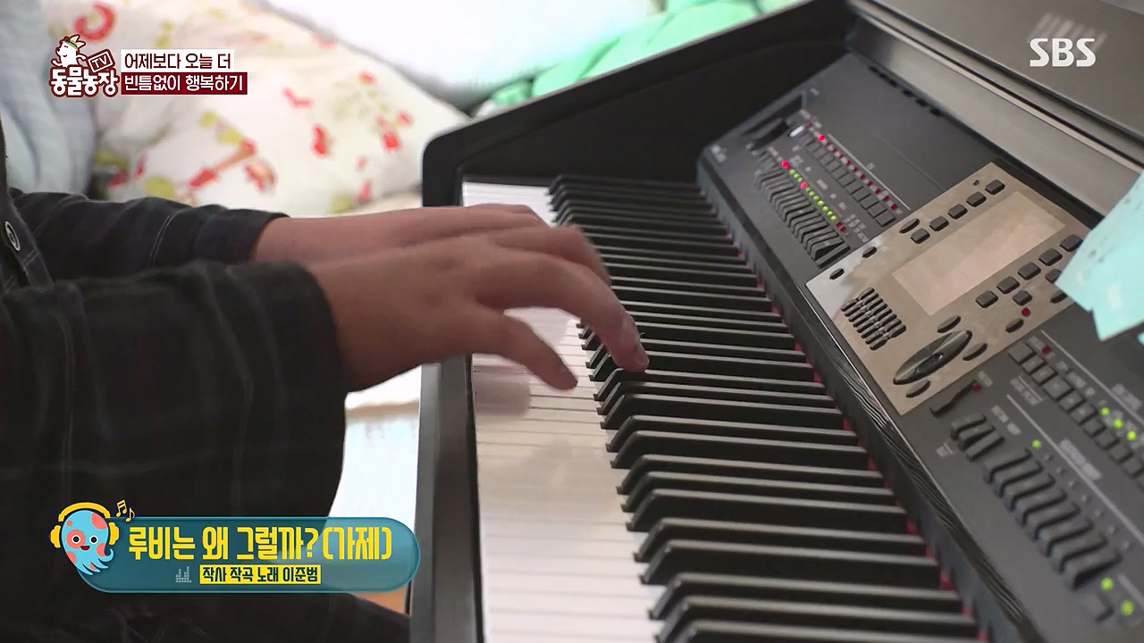 TV 동물농장.E1179.240708p-NEXT.mp4_20240707_160428.332.jpg