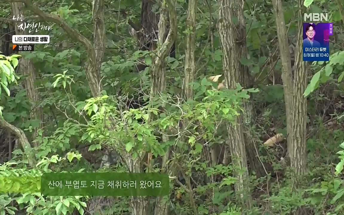 나는 자연인이다.E513.220804p-NEXT.mp4_20220804_201949.743.jpg