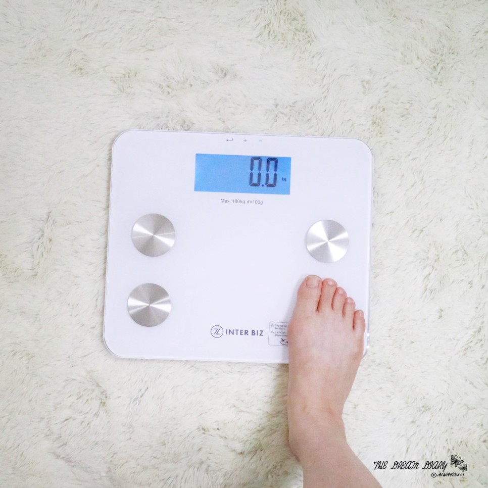 정확한 체중계 추천디지털 체중계 인바디 17