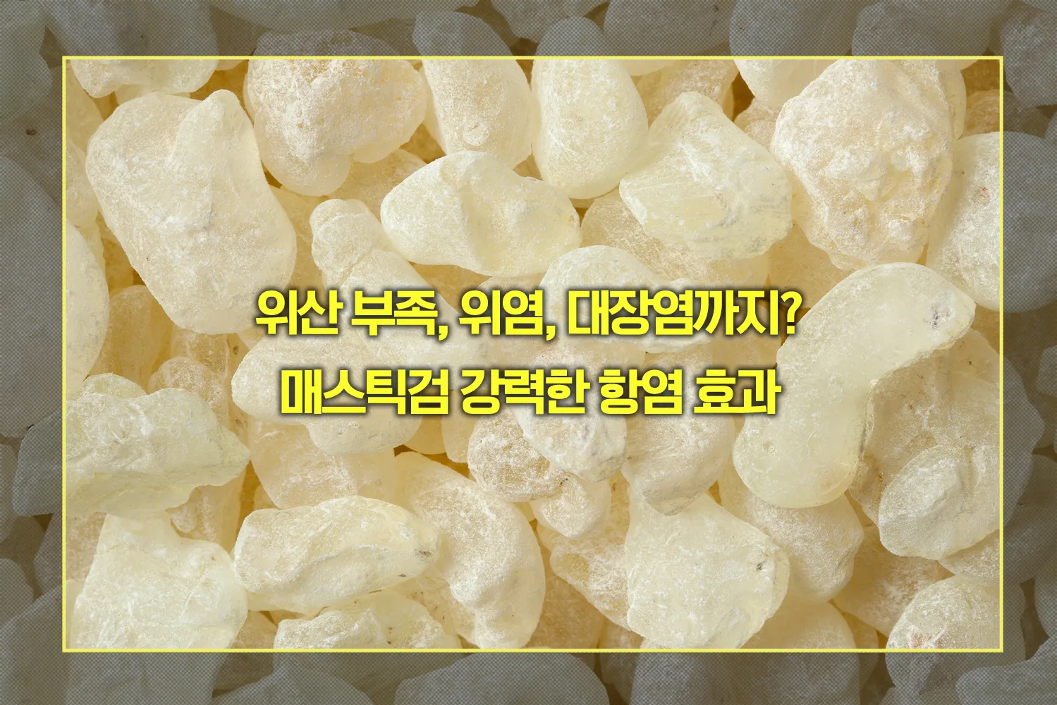매스틱검 강력한 항염 효과