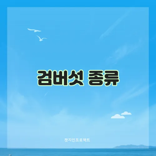 검버섯 종류, 증상, 치료 방법