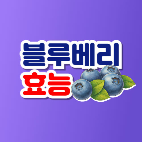 블루베리 효능 총정리
