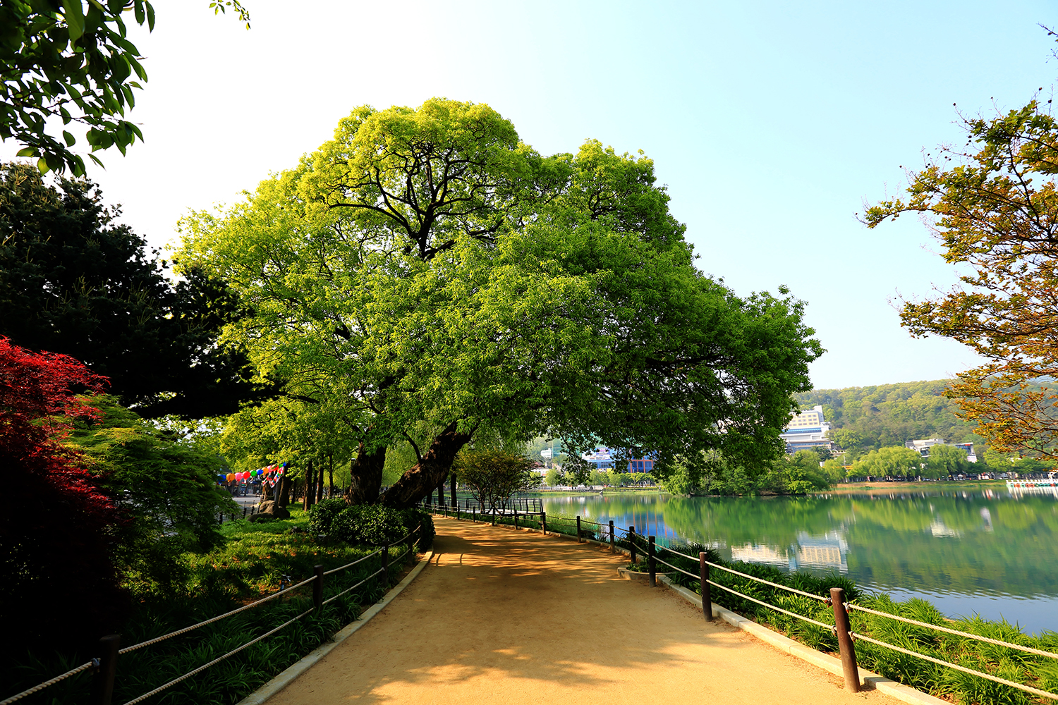  대구 가볼만한곳, 수성못-수성유원지(수성랜드)