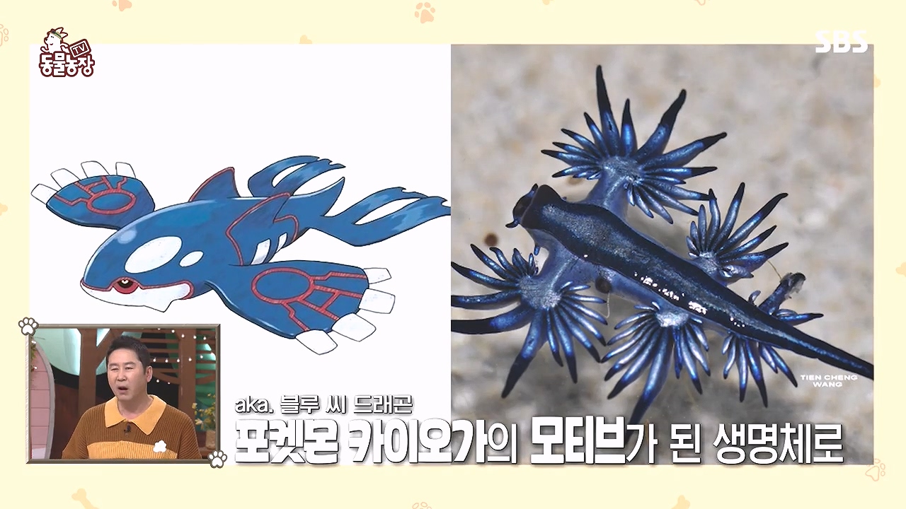 TV 동물농장.E1153.240108p-NEXT.mp4_20240107_170542.107.jpg