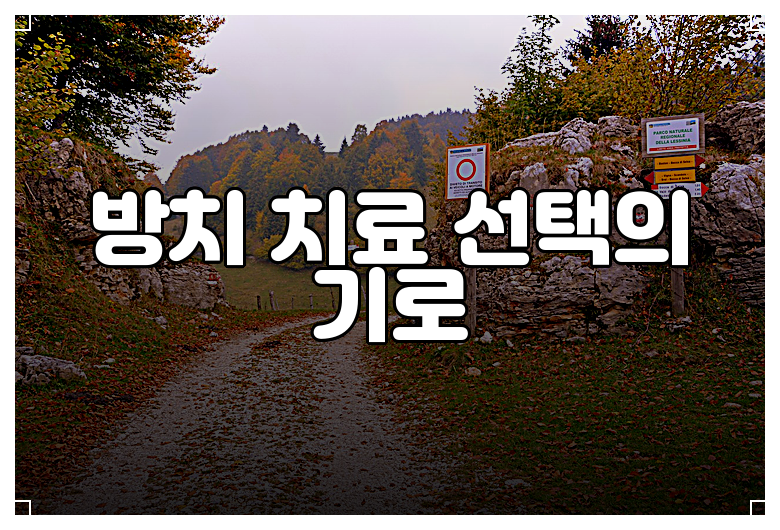 방치 치료 선택의 기로