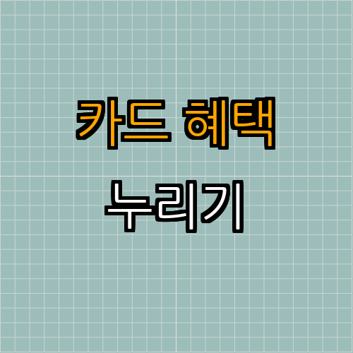 현명한 신용카드 사용법 | 신용등급 관리 | 현명한 소비 | 카드 혜택 누리기 | 재정 건강 유지 | 총정리 - 3. 카드 혜택 잘 누리기 3. 카드 혜택 잘 누리기