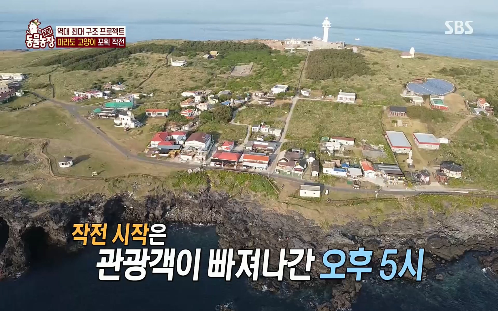 TV 동물농장.E1077.220710p.H264-F1RST.mp4_20220710_175431.713.jpg