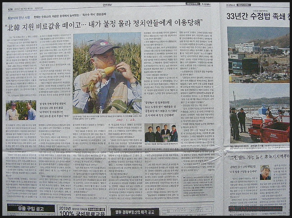 옥수수와 옥수수 가루 추억 // 손자에게 보내는 편지 (제375호) 31