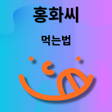 홍화씨 먹는법