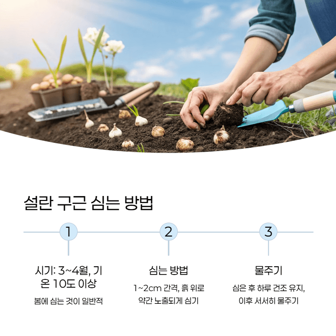 설란