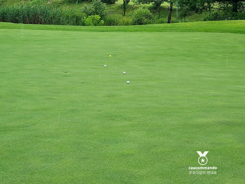 연예인 골프 순위 연예인들이 참여하는 6