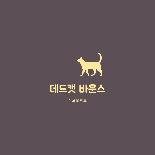  주식용어 - 데드캣 바운스(Dead Cat Bounce)