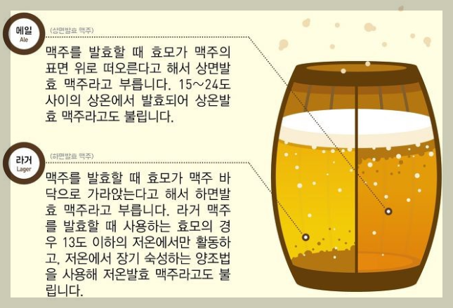  [술이야기] 맥주 발효방식에 따른 종류, 맥주 종류
