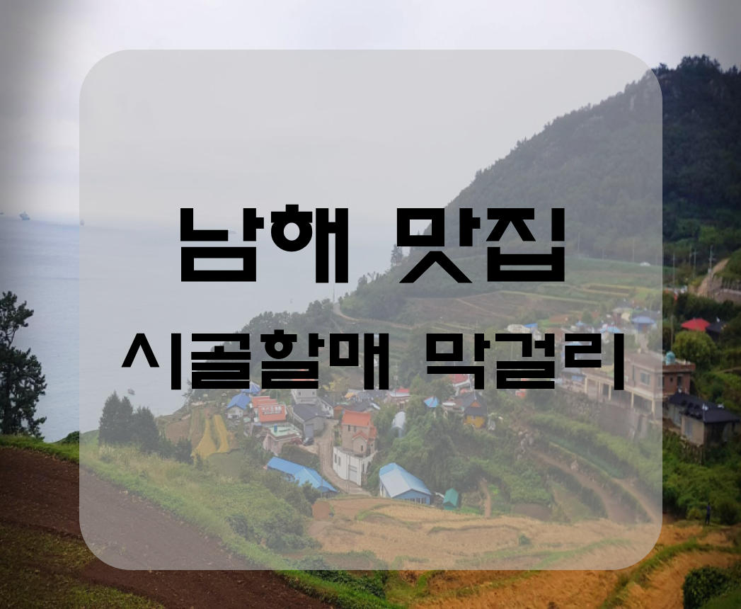  남해 오션뷰 맛집 다랭이마을 시골할매 막걸리