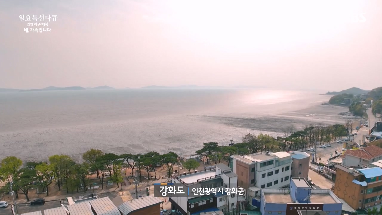 일요특선 다큐멘터리.E346.240513p-NEXT.mp4_20240512_143936.696.jpg
