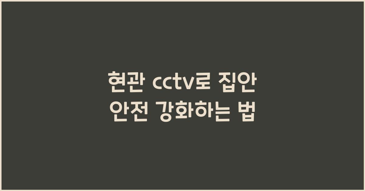 현관 cctv