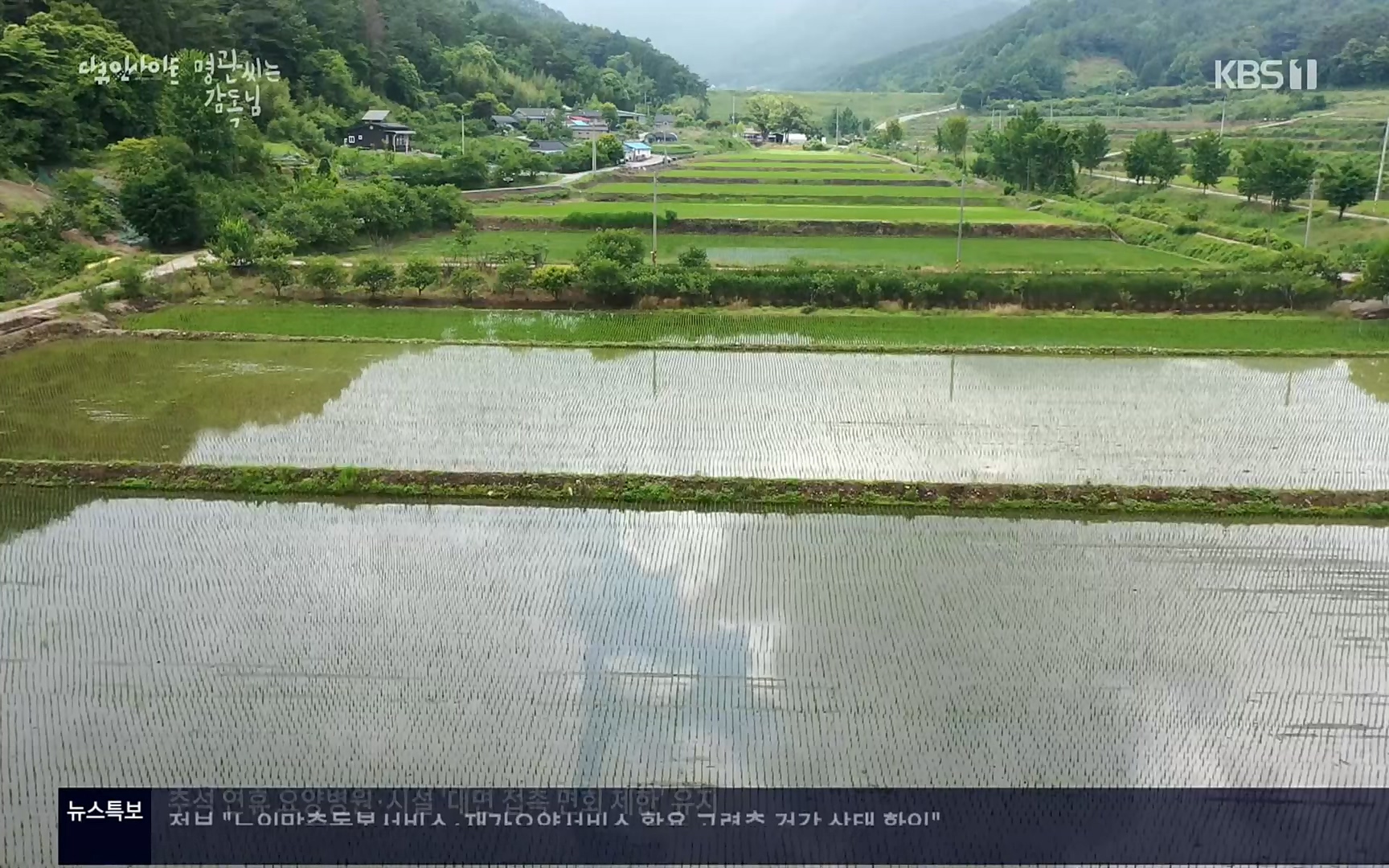 다큐 인사이트.E122.220825p.H264-F1RST.mp4_20220826_152321.743.jpg