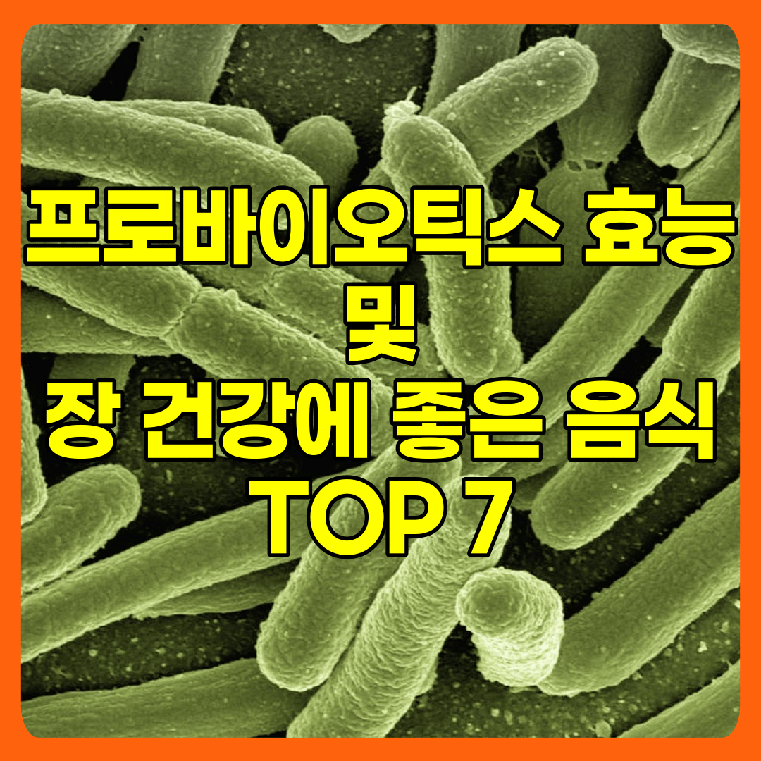  유산균 프로바이오틱스 효능 및 장건강에 좋은 음식 TOP7
