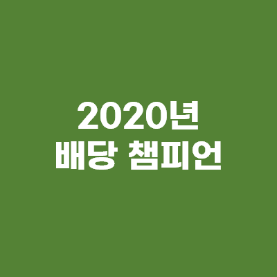  배당 챔피언 2020년- 미국 주식 따라잡기
