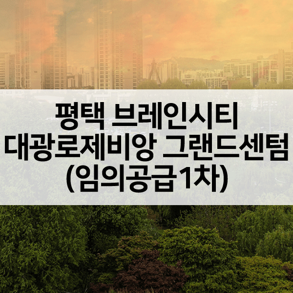평택브레인시티대광로제비앙그랜드센텀임의공급-1