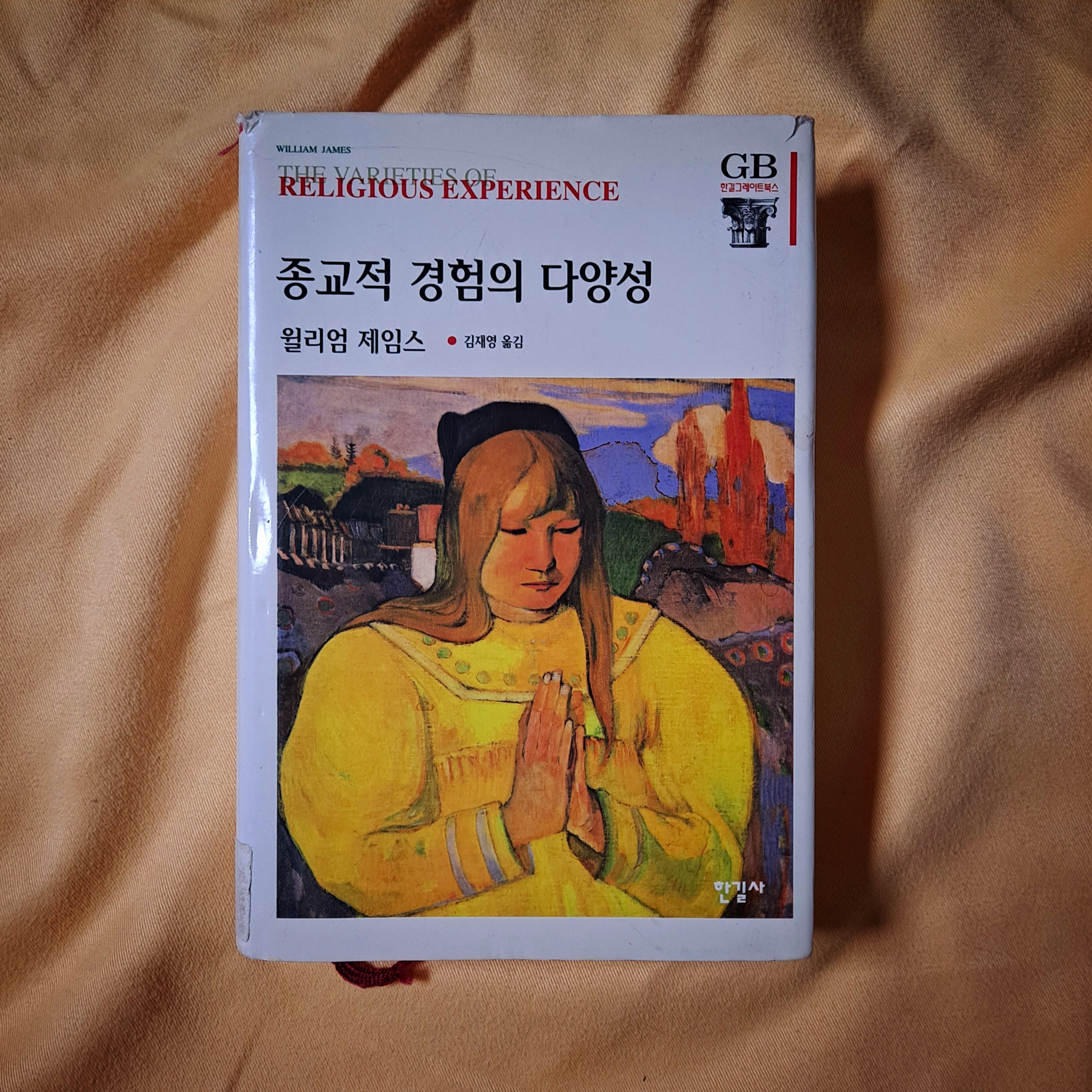  '종교적 경험의 다양성(The Varieties of Religious Experience)'