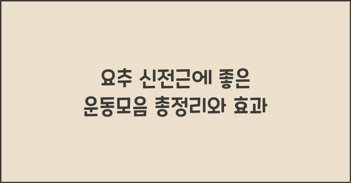 요추 신전근에 좋은 운동모음 총정리