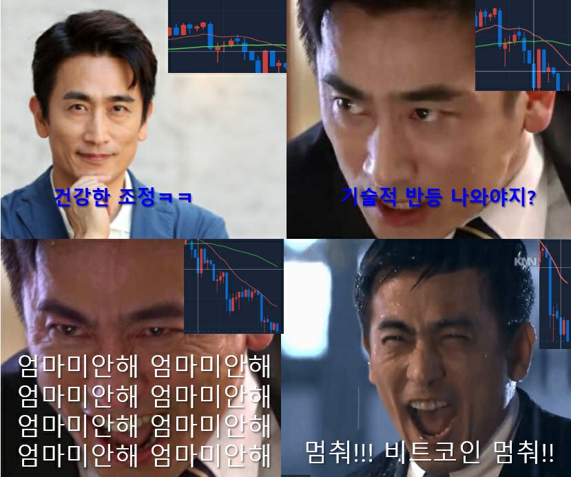  조정장