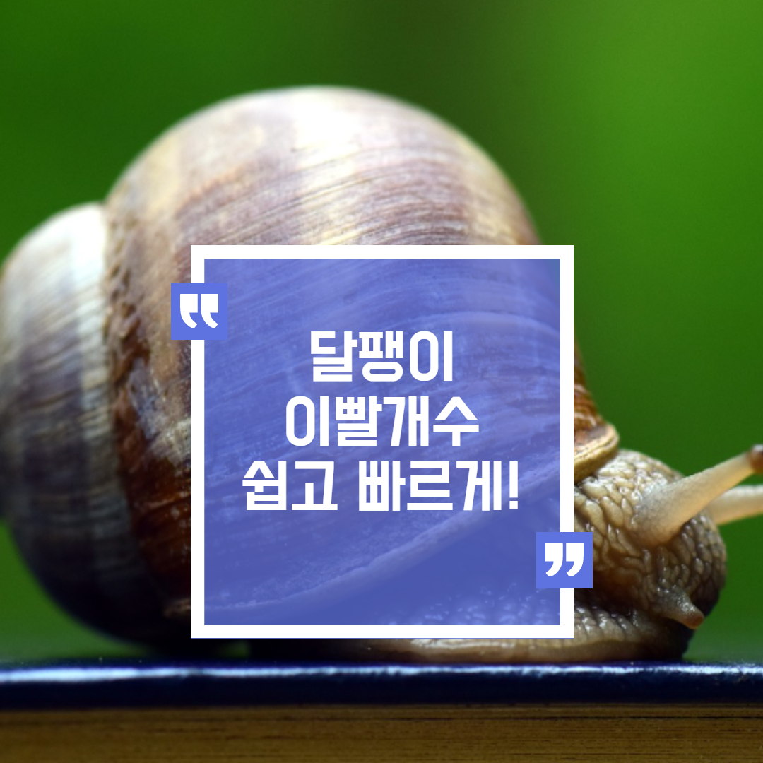  달팽이이빨개수 이빨모양은 어떻게 생겼을까