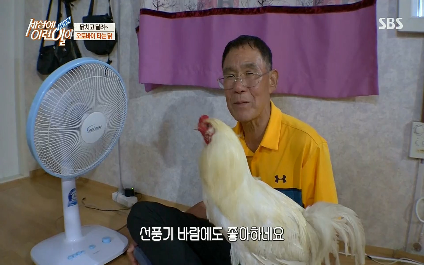 순간포착 세상에 이런일이.E1196.220906p.H264-F1RST.mp4_20220907_203325.343.jpg