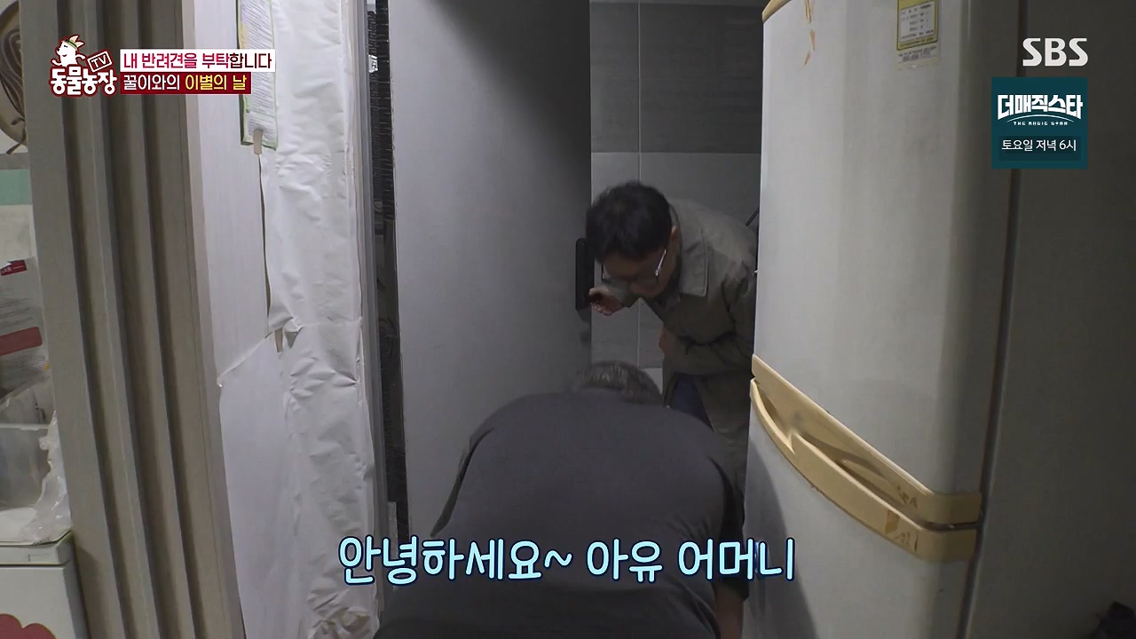 TV 동물농장.E1174.240603p-NEXT.mp4_20240602_155745.212.jpg