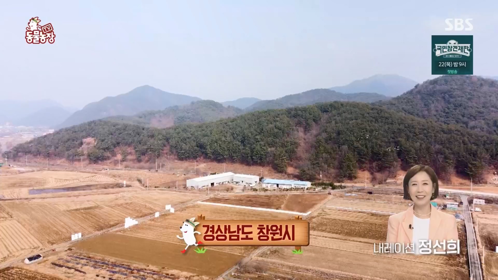 TV 동물농장.E1158.240211p.H264-F1RST.mp4_20240211_194054.642.jpg