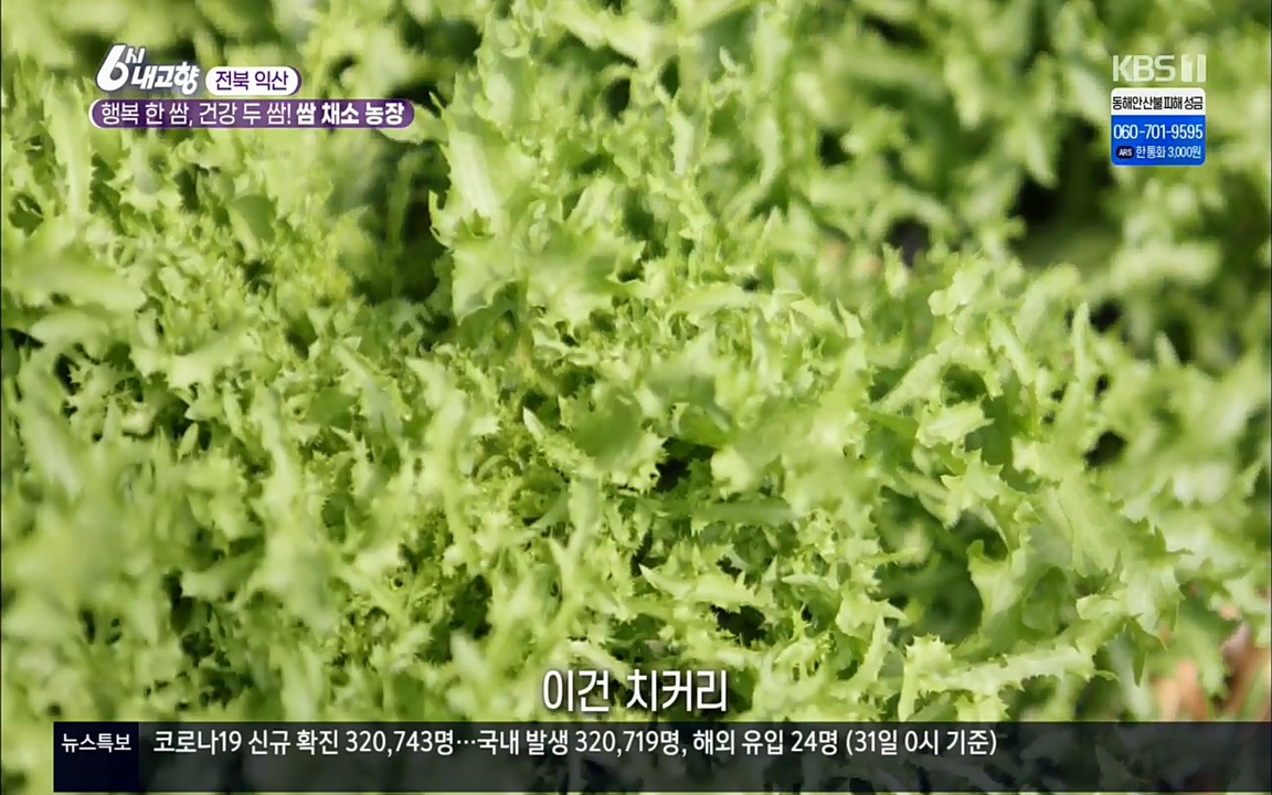6시 내고향.E7501.220332p.H264-F1RST.mp4_20220402_193615.430.jpg