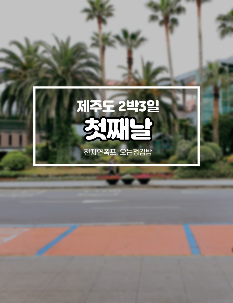 올레김밥 이미지