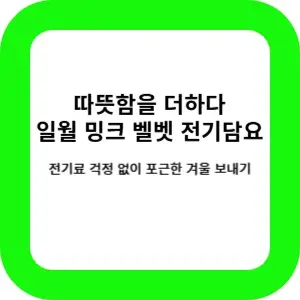 전기료 절약 가능한 일월 전기담요