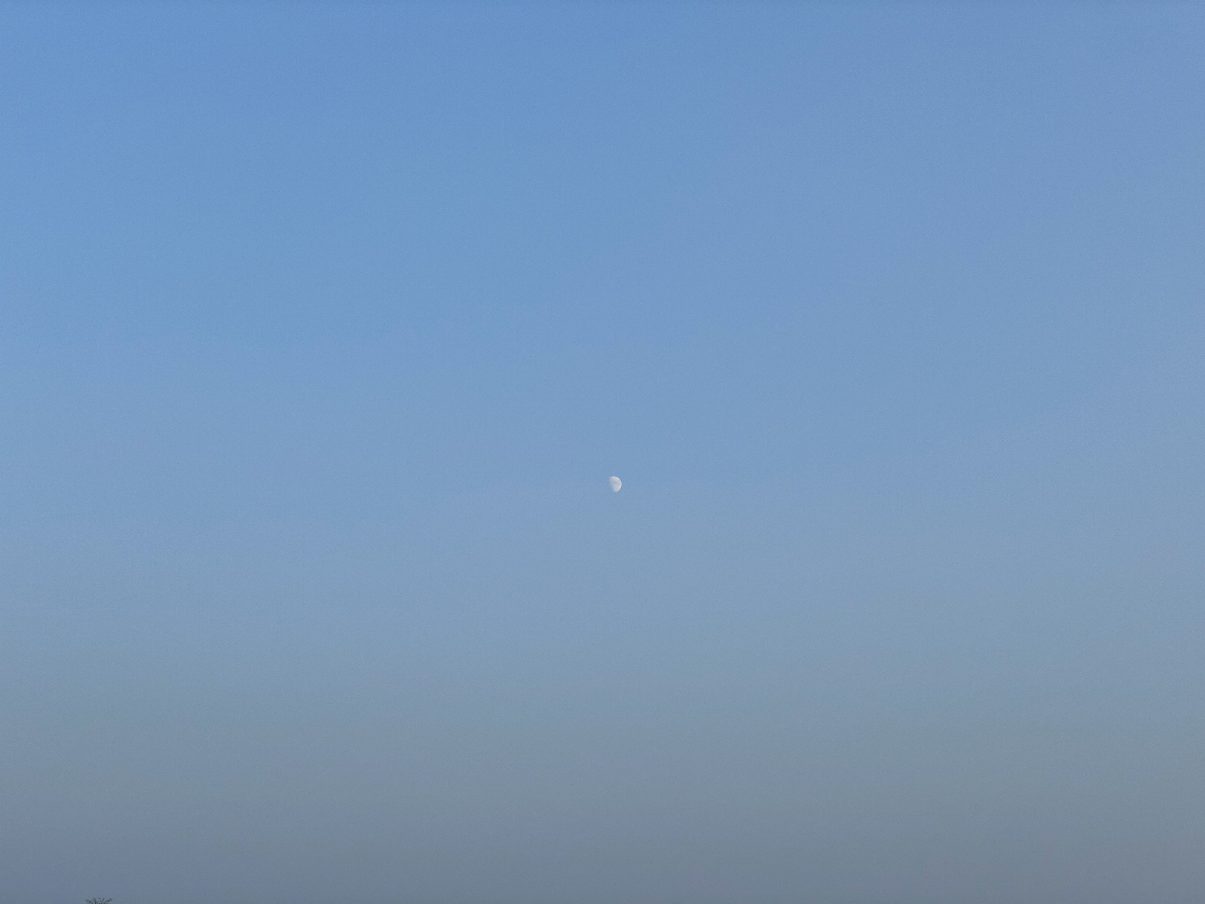 대청호 오백리길 4구간 주변에서 찍은 달 사진 (오후 5시쯤)