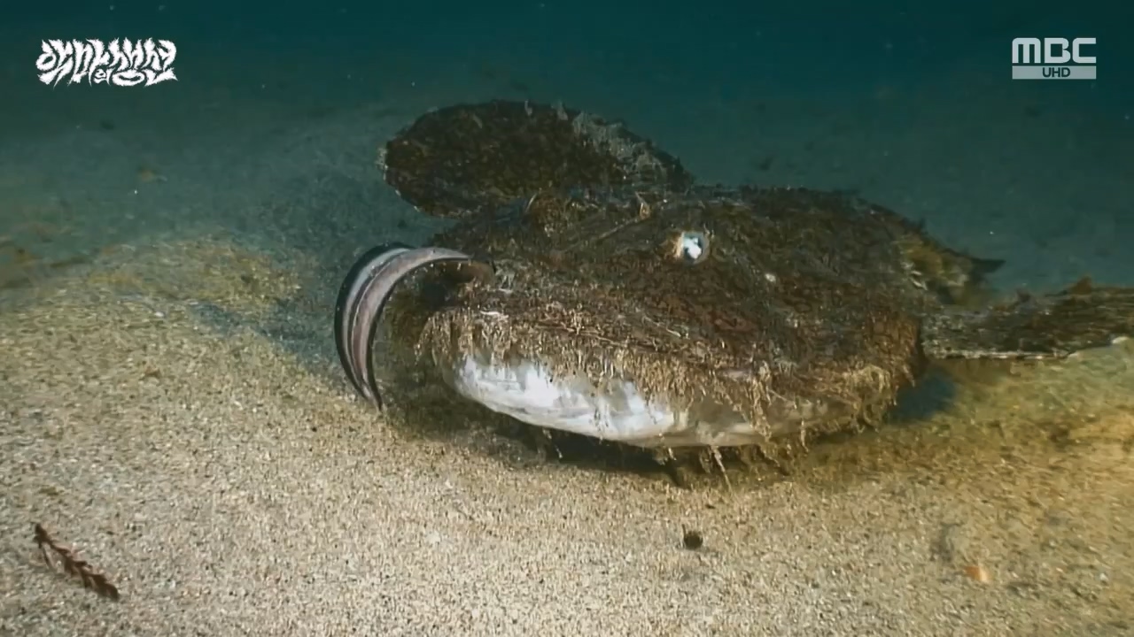 MBC 네트워크특선.E1670.240403p-NEXT.mp4_20240403_205601.454.jpg