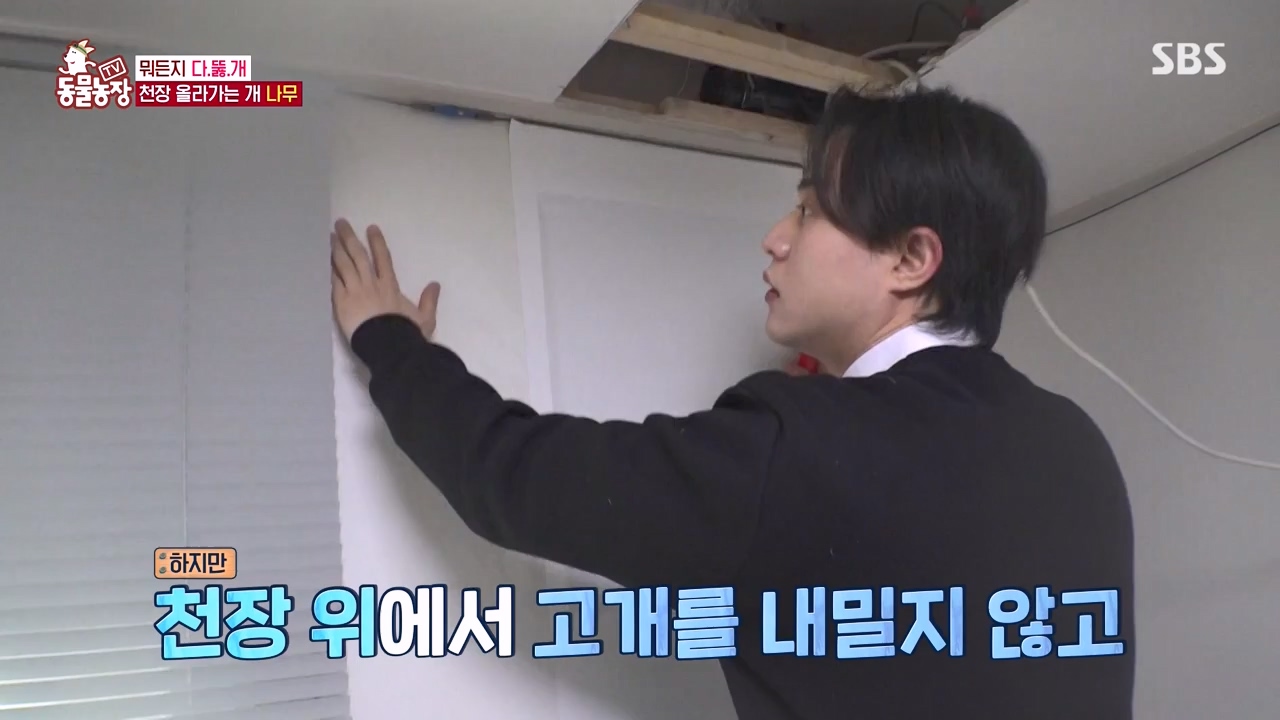 TV 동물농장.E1154.240115p-NEXT.mp4_20240114_184339.863.jpg