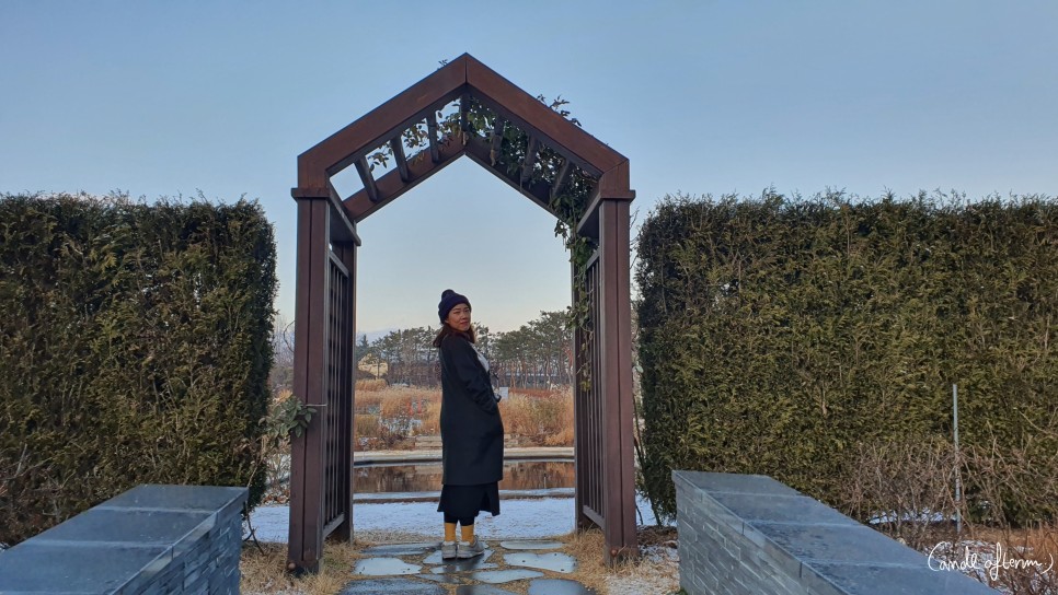 전주 겨울여행 전주겨울여행/한국도로공사 16