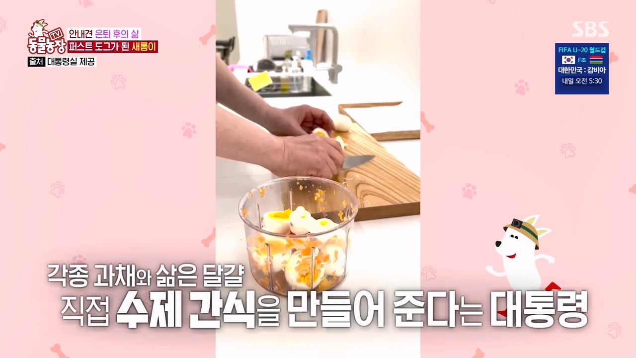 TV 동물농장.E1122.230529p-NEXT.mp4_20230528_170259.483.jpg