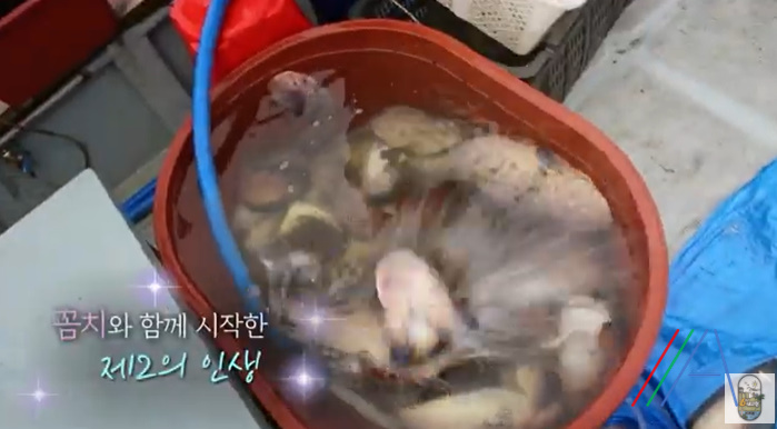 해수식당 이미지