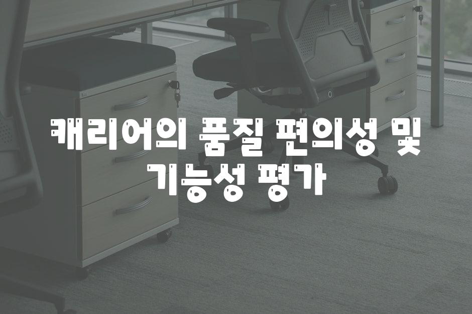 캐리어의 품질 편의성 및 기능성 평가